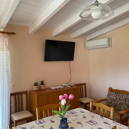 Paradise 4*