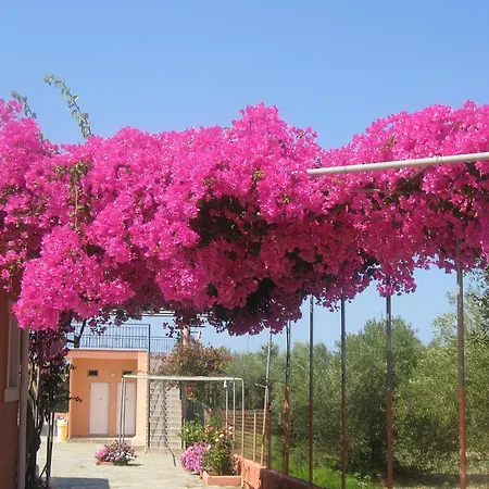 Apart Otel Paradise 2*