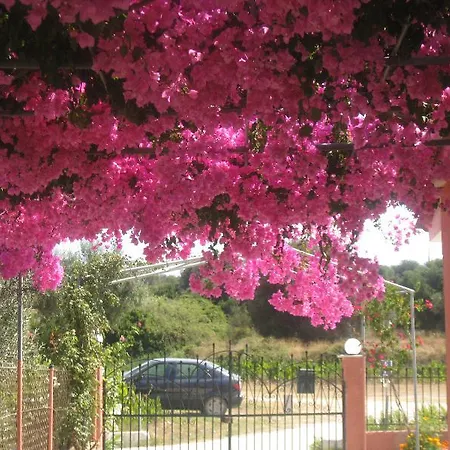 Paradise Appart hôtel Svoronata