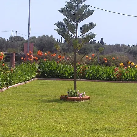 Paradise